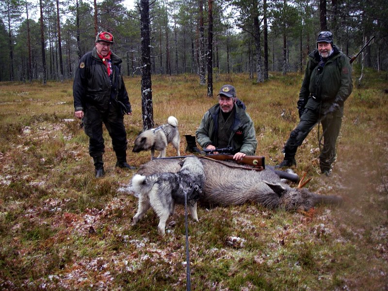 Vellykket jakt 2011.jpg - Tross i grisvær ble det en vellyket jaktdag. Odd, Tinka, Stein og Trygve